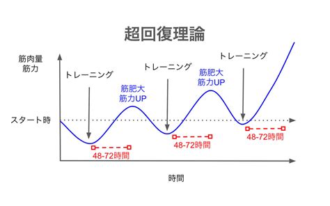 超回復と筋肉痛の関係＆部位別の期間・時。